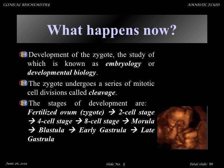 increased amniotic fluid increased amniotic fluid