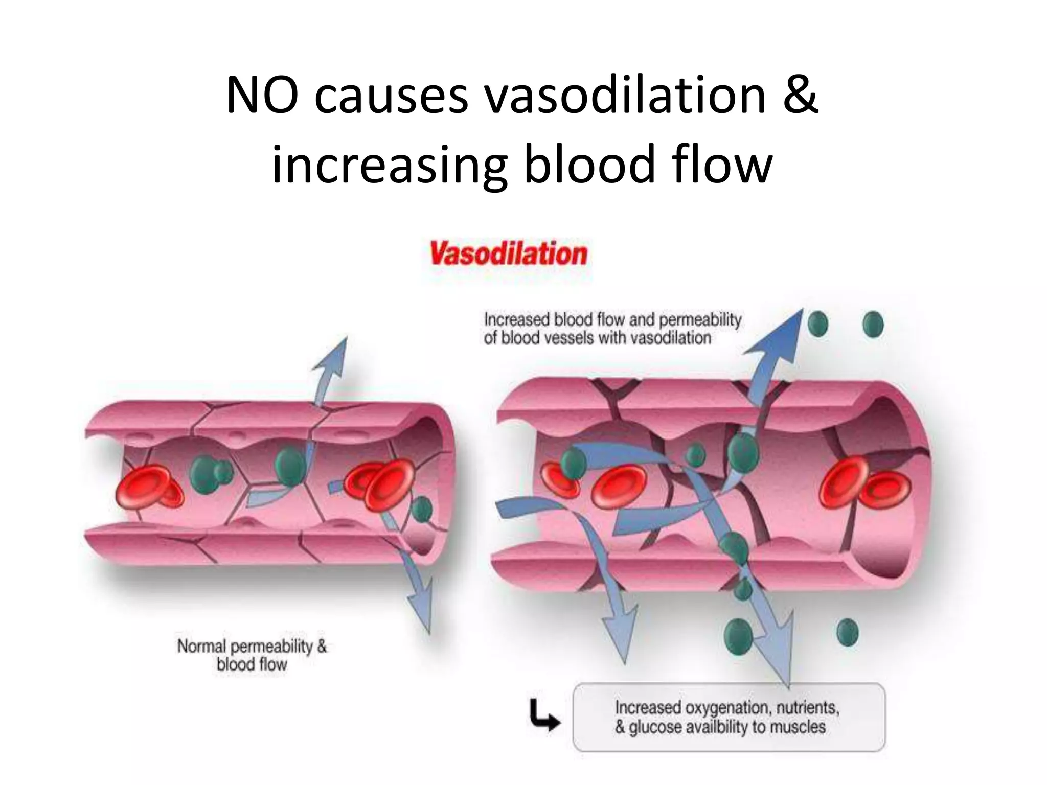 NO causes vasodilation &
 increasing blood flow
 