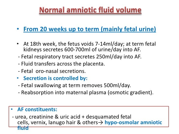 Amniotic fluid