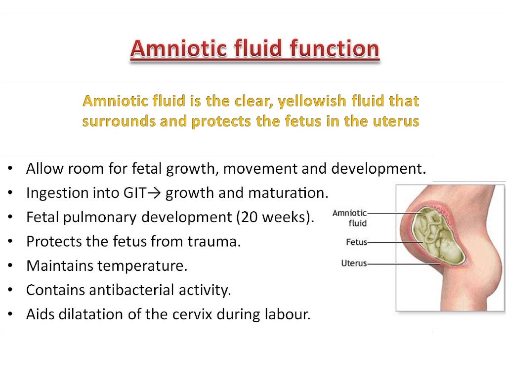 Amniotic fluid