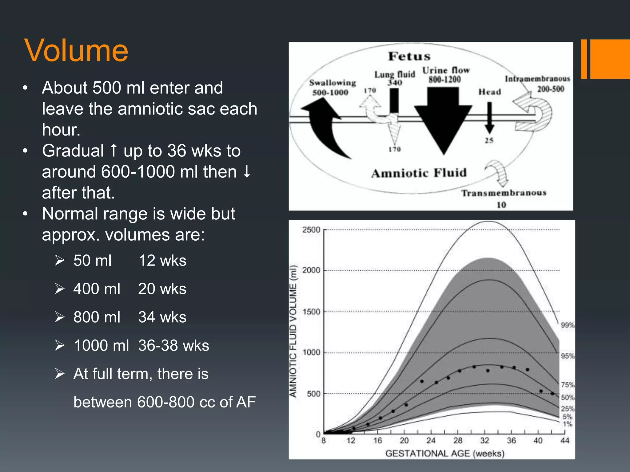 Volume
• About 500 ml enter and
leave the amniotic sac each
hour.
• Gradual  up to 36 wks to
around 600-1000 ml then 
after that.
• Normal range is wide but
approx. volumes are:
 50 ml 12 wks
 400 ml 20 wks
 800 ml 34 wks
 1000 ml 36-38 wks
 At full term, there is
between 600-800 cc of AF
 