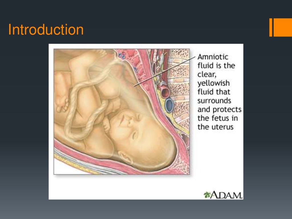 Amniotic fluid