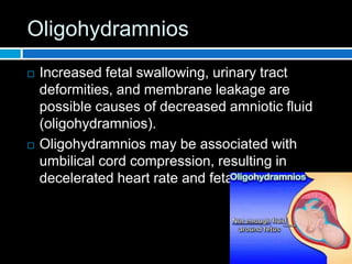 Oligohydramnios
 Increased fetal swallowing, urinary tract
deformities, and membrane leakage are
possible causes of decreased amniotic fluid
(oligohydramnios).
 Oligohydramnios may be associated with
umbilical cord compression, resulting in
decelerated heart rate and fetal death.
 