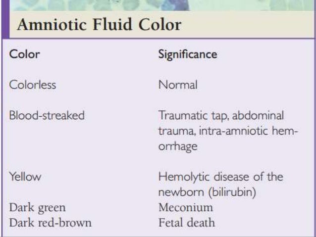 amniotic fluid infection amniotic fluid infection