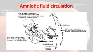amniotic fluid presentation and its importance | PPTX