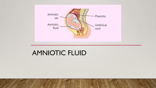 Amniotic Fluid: The Unsung Hero of Pregnancy 🍼 | PPTX