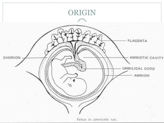 ORIGIN
5/31/2016OKEY UGWU
3
 