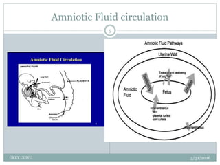 Amniotic Fluid circulation
5/31/2016OKEY UGWU
5
 