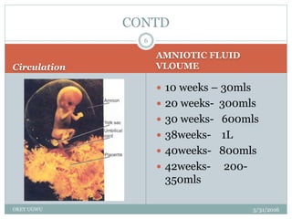 Circulation
AMNIOTIC FLUID
VLOUME
5/31/2016OKEY UGWU
 10 weeks – 30mls
 20 weeks- 300mls
 30 weeks- 600mls
 38weeks- 1L
 40weeks- 800mls
 42weeks- 200-
350mls
6
CONTD
 