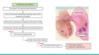 Amniotic Fluid Embolism Amniotic Fluid Embolism | PPT