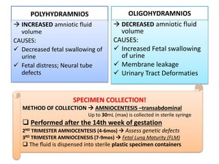 Amniotic fluid,hcg, sputum, bal & sweat | PPTX