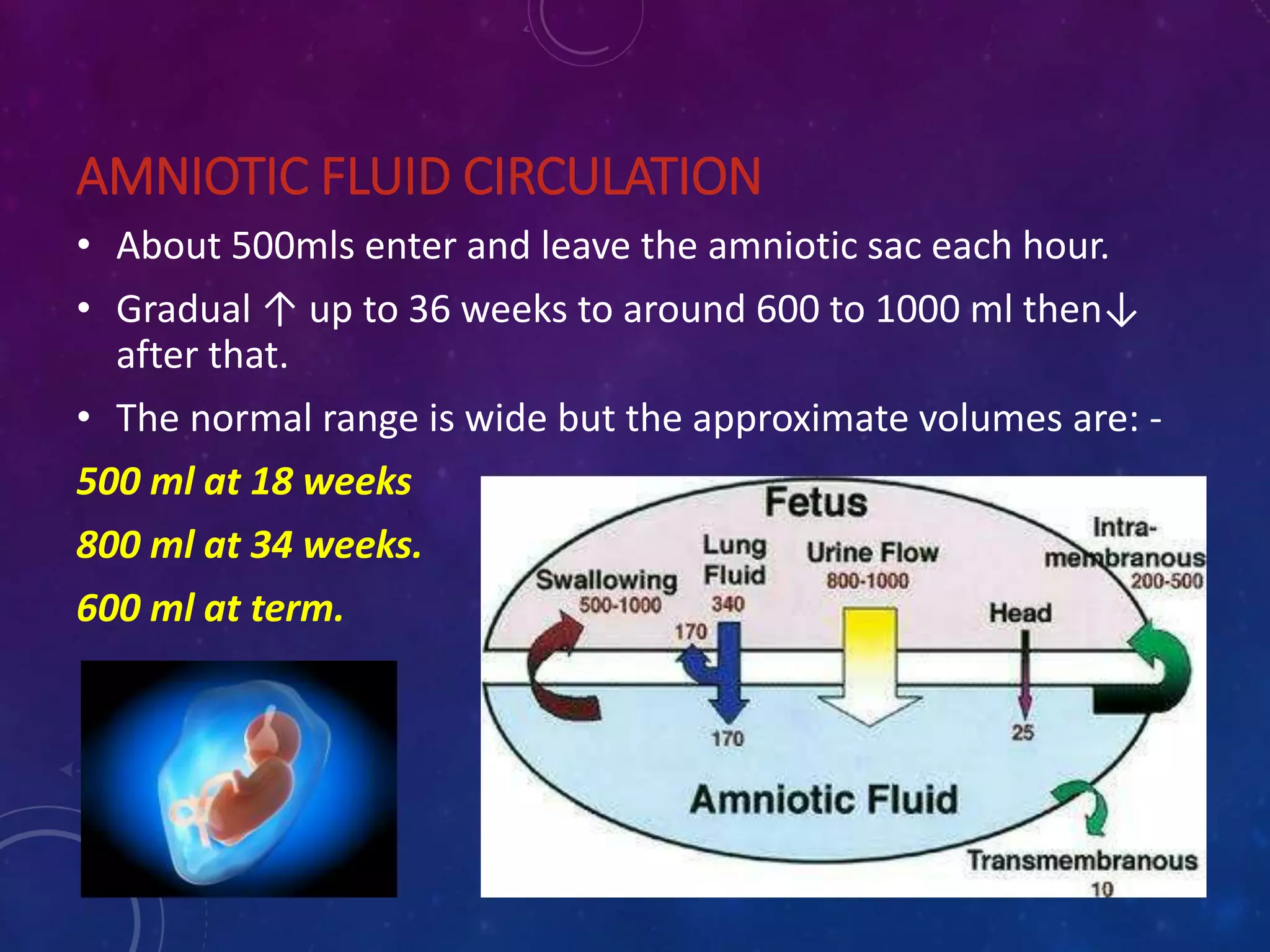 AMNIOTIC FLUID CIRCULATION
• About 500mls enter and leave the amniotic sac each hour.
• Gradual ↑ up to 36 weeks to around 600 to 1000 ml then↓
after that.
• The normal range is wide but the approximate volumes are: -
500 ml at 18 weeks
800 ml at 34 weeks.
600 ml at term.
 