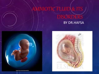 AMNIOTIC FLUID & ITS
DISORDERS
BY DR.HAFSA
 