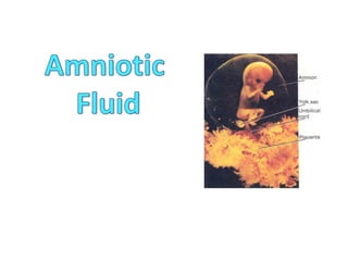Amniotic fluid formation, classification and changes.ppt