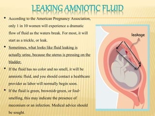Amniotic fluid ppt | PPTX
