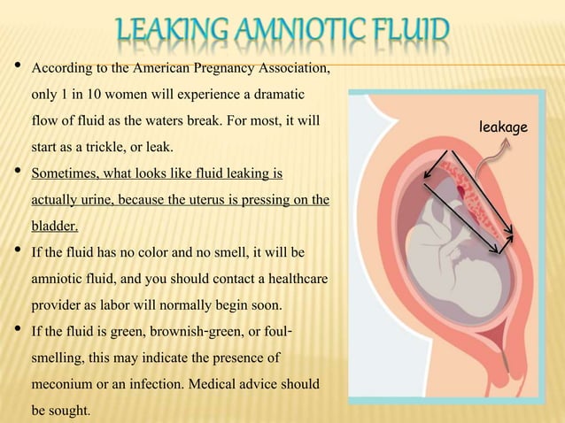 Amniotic fluid ppt | PPTX | Pregnancy | Reproductive Health