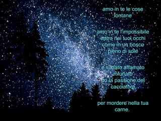 amo in te le cose lontane amo in te l'impossibile entro nei tuoi occhi come in un bosco pieno di sole e sudato affamato infuriato ho la passione del cacciatore per mordere nella tua carne.   