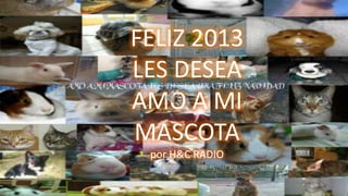 FELIZ 2013
LES DESEA
AMO A MI
MASCOTA
 por H&C RADIO
 