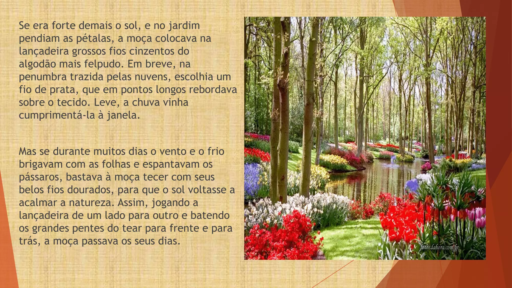 Se era forte demais o sol, e no jardim
pendiam as pétalas, a moça colocava na
lançadeira grossos fios cinzentos do
algodão mais felpudo. Em breve, na
penumbra trazida pelas nuvens, escolhia um
fio de prata, que em pontos longos rebordava
sobre o tecido. Leve, a chuva vinha
cumprimentá-la à janela.


Mas se durante muitos dias o vento e o frio
brigavam com as folhas e espantavam os
pássaros, bastava à moça tecer com seus
belos fios dourados, para que o sol voltasse a
acalmar a natureza. Assim, jogando a
lançadeira de um lado para outro e batendo
os grandes pentes do tear para frente e para
trás, a moça passava os seus dias.
 