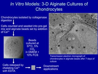 Models are expensive and laborious to establish