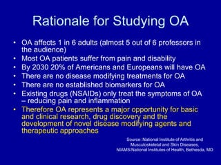 Rationale for Studying OAOA affects 1 in 6 adults (almost 5 out of 6 professors in the audience)Most OA patients suffer from pain and disabilityBy 2030 20% of Americans and Europeans will have OAThere are no disease modifying treatments for OAThere are no established biomarkers for OAExisting drugs (NSAIDs) only treat the symptoms of OA – reducing pain and inflammationTherefore OA represents a major opportunity for basic and clinical research, drug discovery and the development of novel disease modifying agents and therapeutic approachesSource: National Institute of Arthritis and Musculoskeletal and Skin Diseases, NIAMS/National Institutes of Health, Bethesda, MD