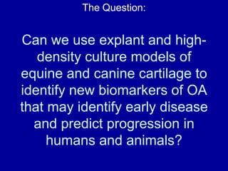 Invasive nature of techniques