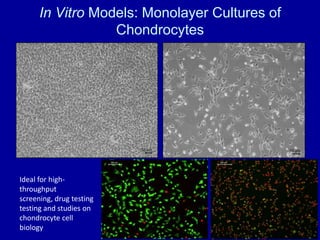 Anaesthetics always required