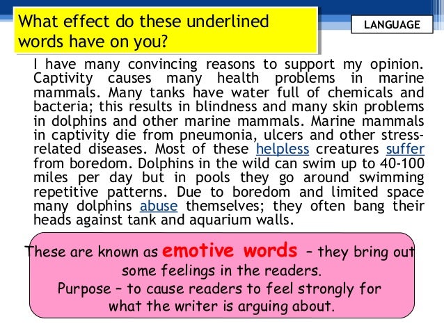 argumentative essay model