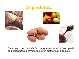 Os produtos… O cultivo do Arroz e da Batata, que passaram a fazer parte da alimentação, permitiam resistir melhor às epidemias. 