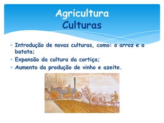 Agricultura
Culturas
Introdução de novas culturas, como: o arroz e a
batata;
Expansão da cultura da cortiça;
Aumento da produção de vinho e azeite.

 