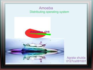 Amoeba

Distributing operating system

Agrata shukla
0127cs091001

 