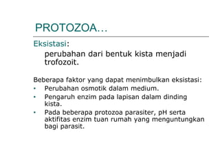 PROTOZOA…
Eksistasi:
perubahan dari bentuk kista menjadi
trofozoit.
Beberapa faktor yang dapat menimbulkan eksistasi:
• Perubahan osmotik dalam medium.
• Pengaruh enzim pada lapisan dalam dinding
kista.
• Pada beberapa protozoa parasiter, pH serta
aktifitas enzim tuan rumah yang menguntungkan
bagi parasit.
 