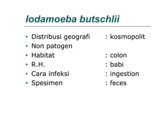 Iodamoeba butschlii
• Distribusi geografi : kosmopolit
• Non patogen
• Habitat : colon
• R.H. : babi
• Cara infeksi : ingestion
• Spesimen : feces
 