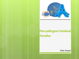 Non-pathogenicIntestinal
Amoebae
Ekta Gupta
 