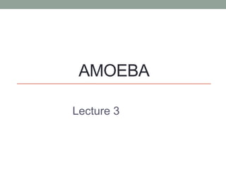 AMOEBA
Lecture 3
 