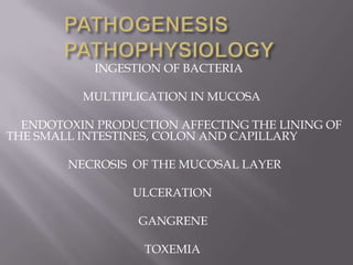 INGESTION OF BACTERIA

          MULTIPLICATION IN MUCOSA

  ENDOTOXIN PRODUCTION AFFECTING THE LINING OF
THE SMALL INTESTINES, COLON AND CAPILLARY

        NECROSIS OF THE MUCOSAL LAYER

                 ULCERATION

                  GANGRENE

                   TOXEMIA
 