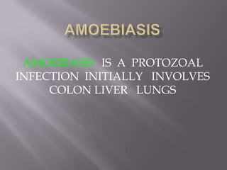 AMOEBIASIS IS A PROTOZOAL
INFECTION INITIALLY INVOLVES
     COLON LIVER LUNGS
 