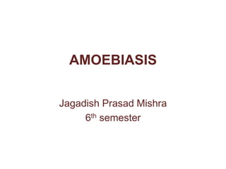 AMOEBIASIS
Jagadish Prasad Mishra
6th semester
 
