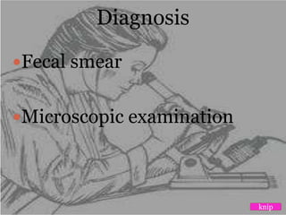Diagnosis
Fecal smear
Microscopic examination
knip
 