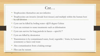 Cnt…
• Trophozoites themselves are not infective
• Trophozoites are invasive (invade host tissues) and multiply within the human host
by cell division
• Cysts can be killed by boiling water –@55 degree Celsius
• Cysts are resistant to water treatments such as chlorination
• Cysts can survive for long periods in faeces – upto10/7
• Cysts are killed by dessication
• Transmission is by contaminated water, food, vegetable / fruits, by human faeces
(extement) i.e faeco-oral route
• Also contamination from a leaking sewage
• Flies can be vectors
•
 