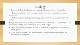 Etiology
• Two morphologically identical but genetically distinct species of Entamoeba
Entamoeba dispar –more prevalent species assoc only with an asymptomatic
carrier state
E. histolytica, the pathogenic species, can become invasive, causing symptomatic
disease.
Many patients previously described as asymptomatic carriers of E. histolytica based on
microscopy findings were probably infected with E. dispar
• Other include non pathogenic E. coli, E. hartmanni, E. gingivalis, E. moshkovskii,
and E. polecki
• - Also there is Naegleria and acanthamoeba, causing fulminating meningitis and
granulomatous encephalitis
 