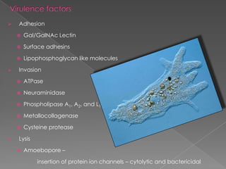 

Adhesion



Surface adhesins




Gal/GalNAc Lectin

Lipophosphoglycan like molecules

Invasion



Neuraminidase



Phospholipase A1, A2, and L1



Metallocollagenase





ATPase

Cysteine protease

Lysis


Amoebopore –
insertion of protein ion channels – cytolytic and bactericidal

 