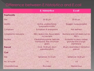 E. histolytica

E.coli

20-30 μm

20-50 μm

Active, unidirectional,
“purposeful motility”

Sluggish, nonpurposeful

Ectoplasm & endoplasm

Not defined

Cytoplasmic Inclusions

RBC, leukocytes, tissue debris,
no bacteria

Bacteria and cell debris but no
RBCs

Nucleus

Central karyosome, delicate
membrane, fine chromatin
grains

Eccentric nucleus, coarse
granules line a tough
membrane

Precyst

Oval, 10-20 μm, blunt
pseudopodium

20 μm, resembles E. histolytica
precyst

Spherical, 10-15 μm

Spherical, 15-20 μm

1-4

1-8

Rounded

Filamentous

Trophozoite
Size
Motility
Cytoplasm

Cyst
Size
No. of nuclei
Chromidial bars

 
