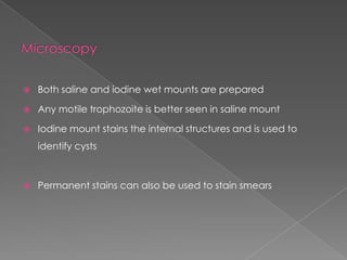 

Both saline and iodine wet mounts are prepared



Any motile trophozoite is better seen in saline mount



Iodine mount stains the internal structures and is used to
identify cysts



Permanent stains can also be used to stain smears

 