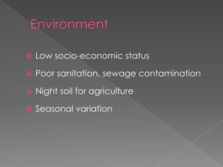 

Low socio-economic status



Poor sanitation, sewage contamination



Night soil for agriculture



Seasonal variation

 