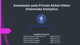Amoebiasis pada Primata Akibat Infeksi
Entamoeba histolytica
Anggota Kelompok:
Teofilo Reynara Anandhito Oki (B04170170)
Novia Nur Ema Aulia (B04170171)
Hilman Rizki Pangestu (B04170172)
Naufal Yafi Hilmawan (B04170173)
 