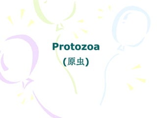 Protozoa
(原虫)
 