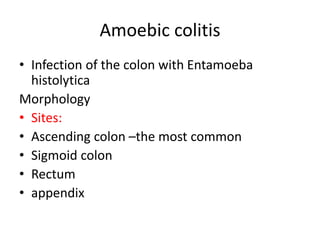 Amoebic colitis
• Infection of the colon with Entamoeba
histolytica
Morphology
• Sites:
• Ascending colon –the most common
• Sigmoid colon
• Rectum
• appendix