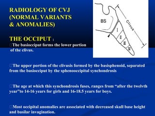 RADIOLOGY OF CVJ
(NORMAL VARIANTS
& ANOMALIES)
THE OCCIPUT :
�The basiocciput forms the lower portion
of the clivus.
�The upper portion of the clivusis formed by the basisphenoid, separated
from the basiocciput by the sphenooccipital synchondrosis
�The age at which this synchondrosis fuses, ranges from “after the twelvth
year”to 14-16 years for girls and 16-18.5 years for boys.
�Most occipital anomalies are associated with decreased skull base height
and basilar invagination.
 