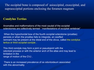 Condylus Tertius
Anomalies and malformations of the most caudal of the occipital
sclerotomes are collectively termed ‘ ‘manifestations of occipital vertebrae”
When the hypochordal bow of the fourth occipital sclerotome (proatlas)
persists or when the proatlas fails to integrate, an ossifled
remnant may be present at the distal end of the clivus, called the condylus
tertius or third occipital condyle .
This third condyle may form a joint or pseudojoint with the
odontoid process or with the anterior arch of the atlas and may lead to
limitation in the
range of motion of the CVJ .
There is an increased prevalence of os odontoideum associated
with this abnormality
The occipital bone is composed of asioccipital, exoccipital, and
supraoccipital portions enclosing the foramen magnum
 